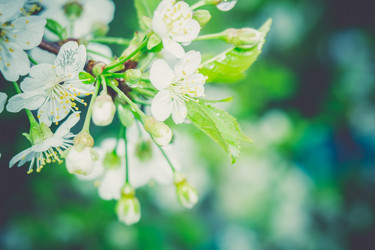 Similar image 8362256