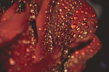 Similar image 8362266