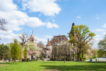 Similar image 8362336