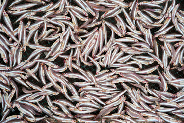 Similar image 8362444