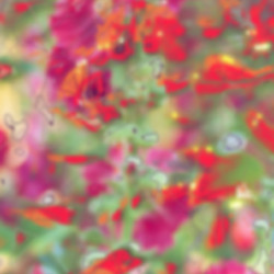 Similar image 8362493