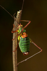 Similar image 8362550