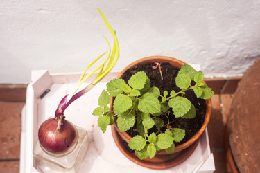 Similar image 8362659