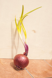 Similar image 8362673