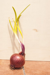 Similar image 8362674