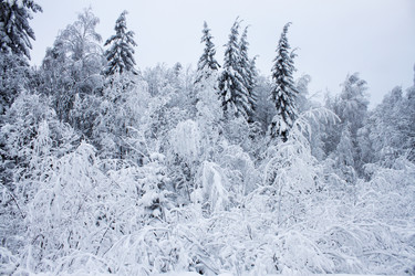 Similar image 8362697