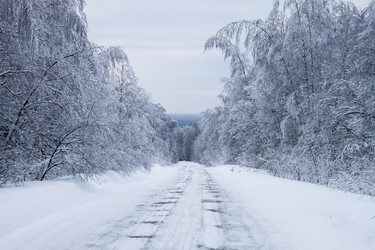 Similar image 8362699