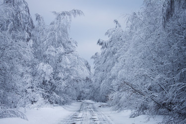 Similar image 8362700