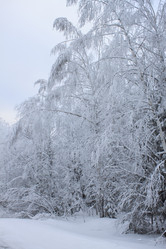 Similar image 8362701