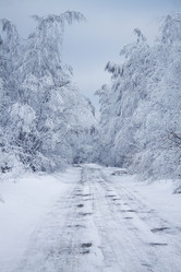 Similar image 8362702