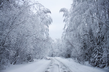 Similar image 8362703