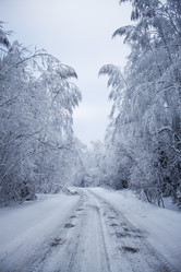 Similar image 8362704