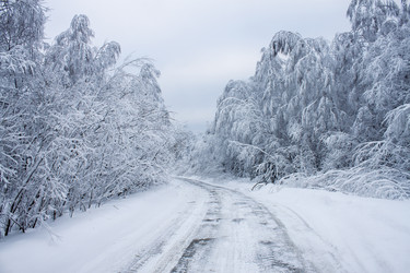 Similar image 8362705