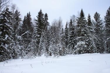 Similar image 8362706