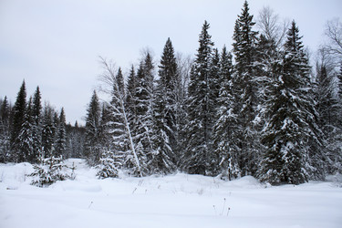 Similar image 8362707