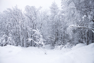 Similar image 8362708