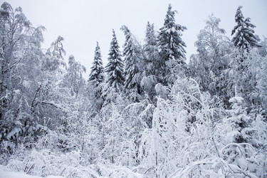 Similar image 8362709