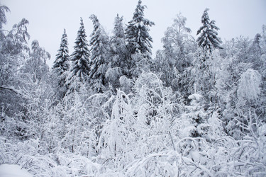 Similar image 8362710