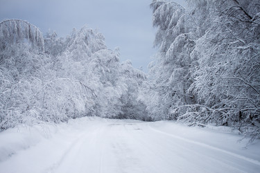 Similar image 8362711