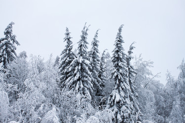 Similar image 8362713