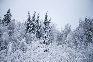 Similar image 8362714