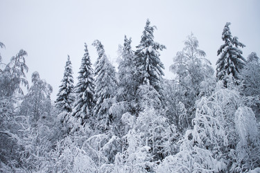 Similar image 8362715