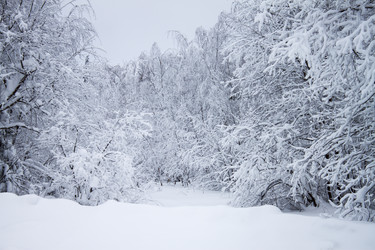 Similar image 8362716