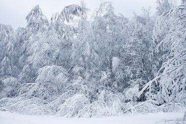 Similar image 8362717