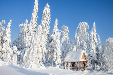 Similar image 8362719