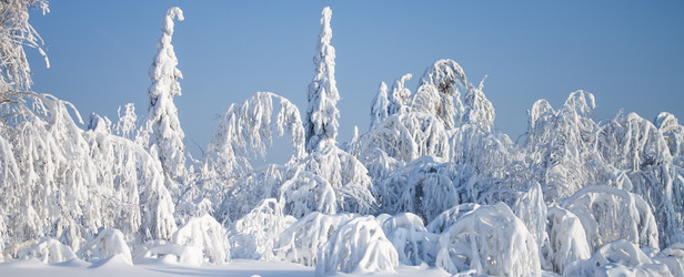 Similar image 8362722