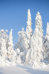 Similar image 8362723