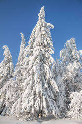 Similar image 8362724