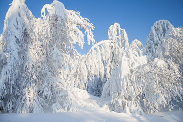 Similar image 8362728