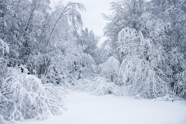 Similar image 8362729