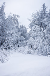 Similar image 8362730