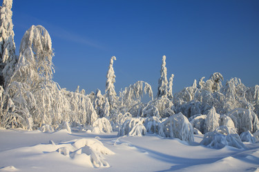 Similar image 8362731