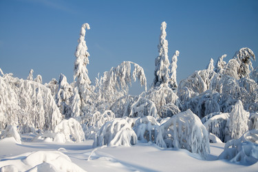 Similar image 8362732