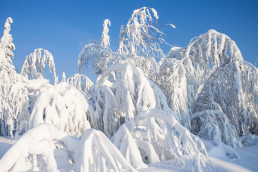 Similar image 8362735