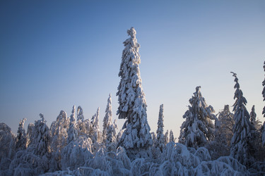 Similar image 8362736