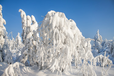 Similar image 8362738