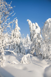 Similar image 8362739