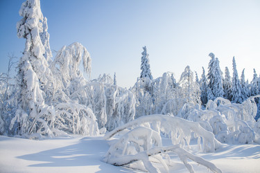 Similar image 8362742