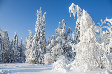 Similar image 8362743