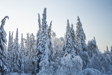 Similar image 8362744