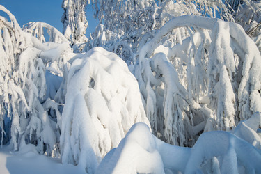 Similar image 8362745