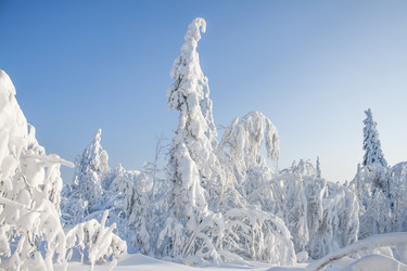 Similar image 8362746