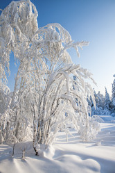 Similar image 8362747