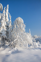 Similar image 8362748