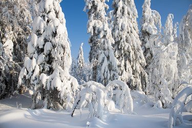 Similar image 8362749