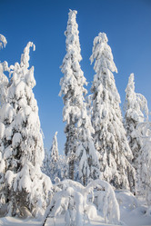 Similar image 8362750